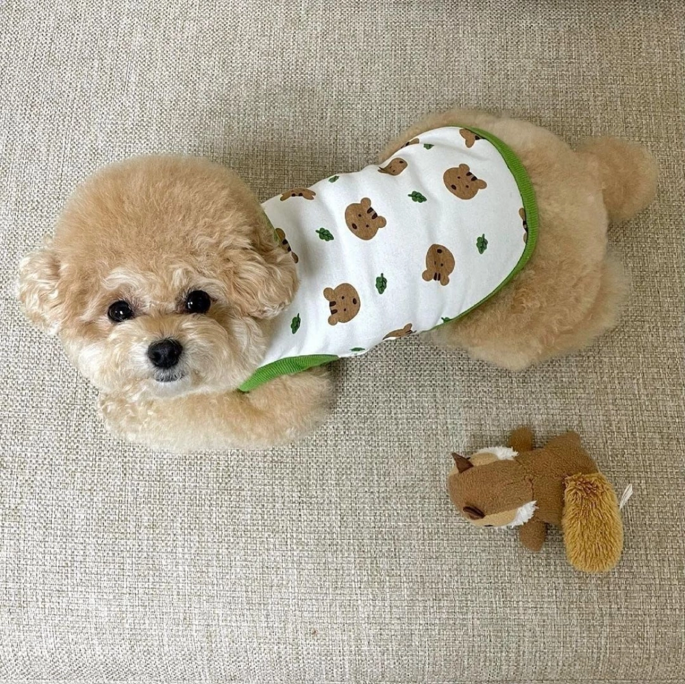 Pet Cute Design Shirt Dog Clothes Pet Clothing Cat Clothes Baju Kucing 狗狗可爱打底衫 老鼠造型 可爱狗狗衣服 宠物服装 可爱猫咪衣服