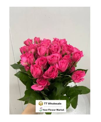 Buy Fresh Rose Spray Online | For Flower Arrangement