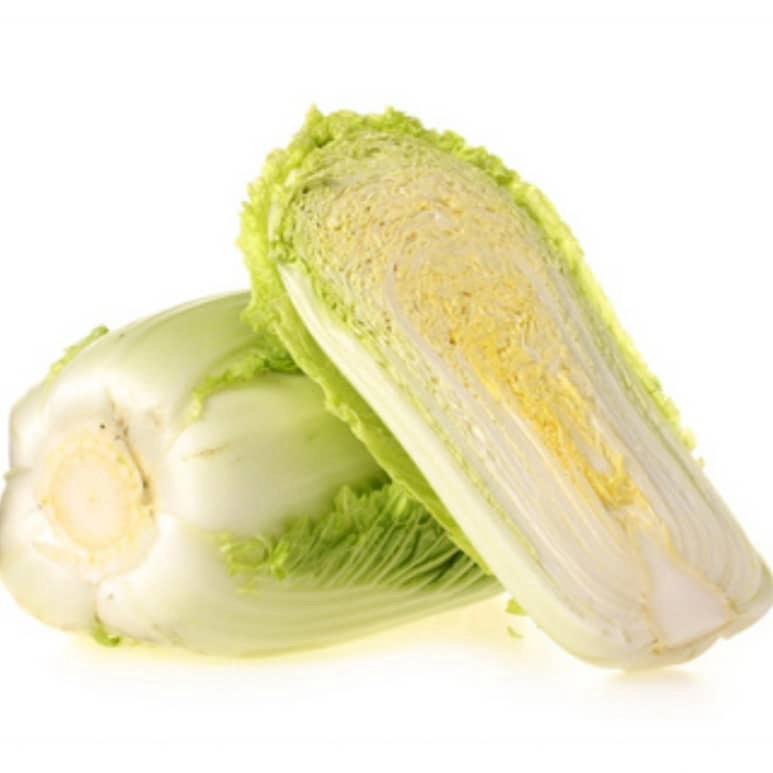 Chinese Cabbage 大白菜