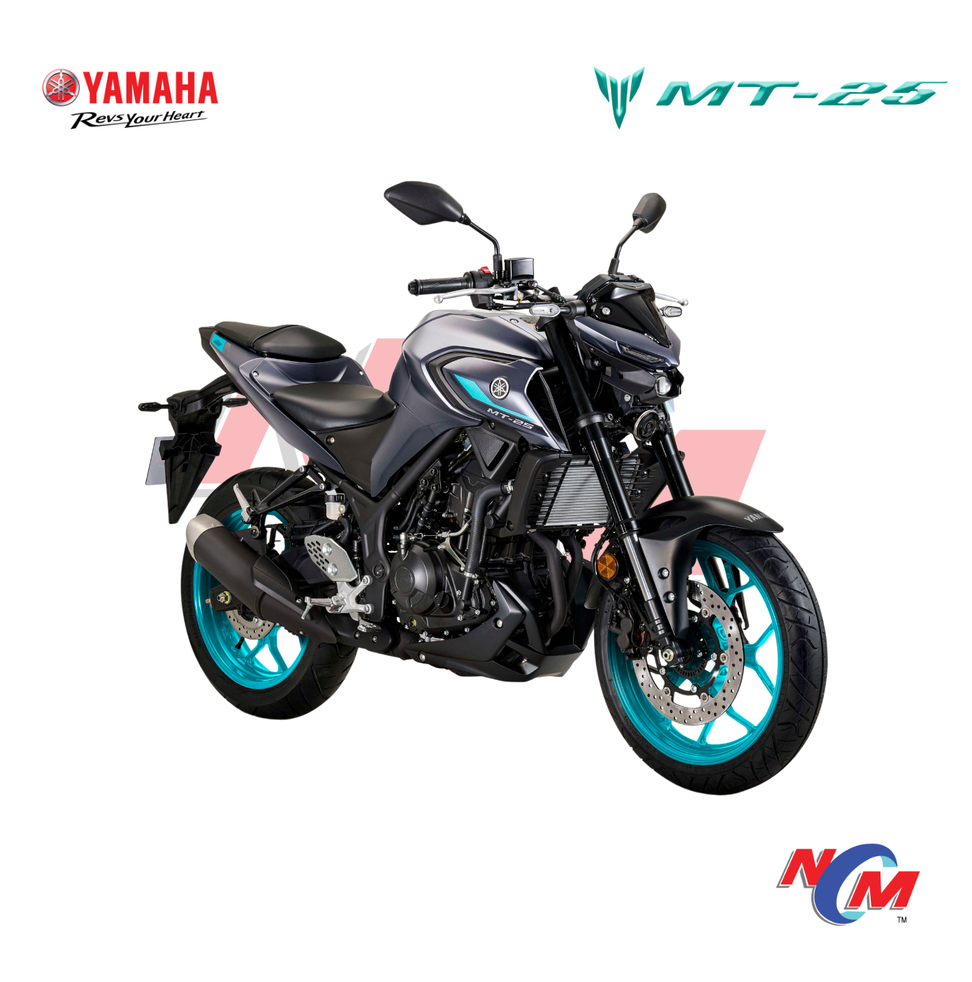 Yamaha MT-25