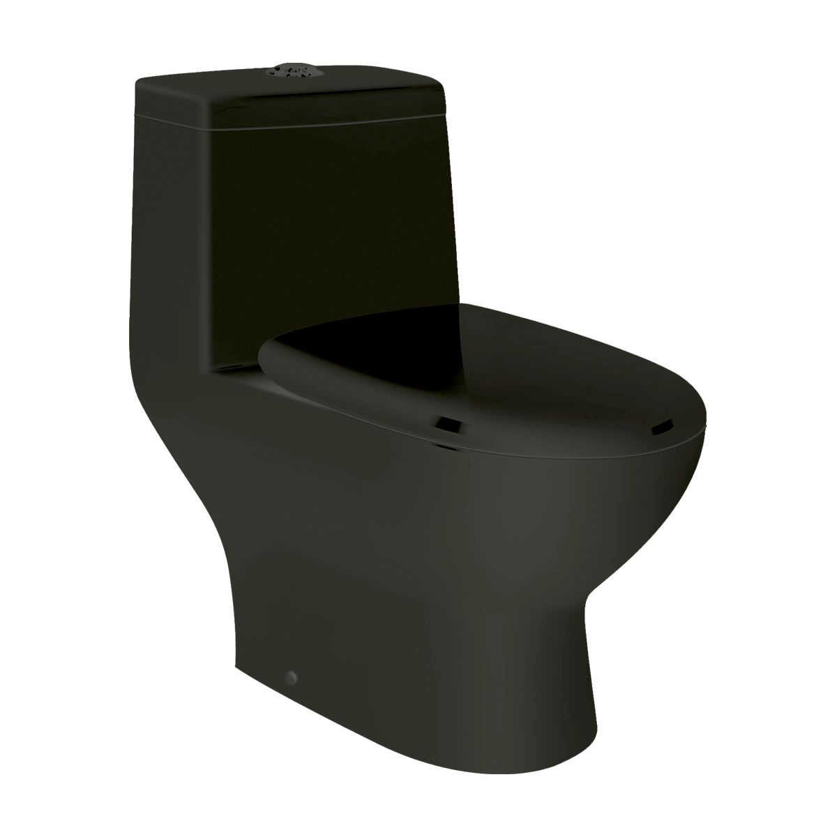 Saniware Washdown One-piece Closet