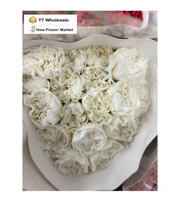 Fresh Carnation Stems – Ideal for Weddings, Birthdays & Decorations