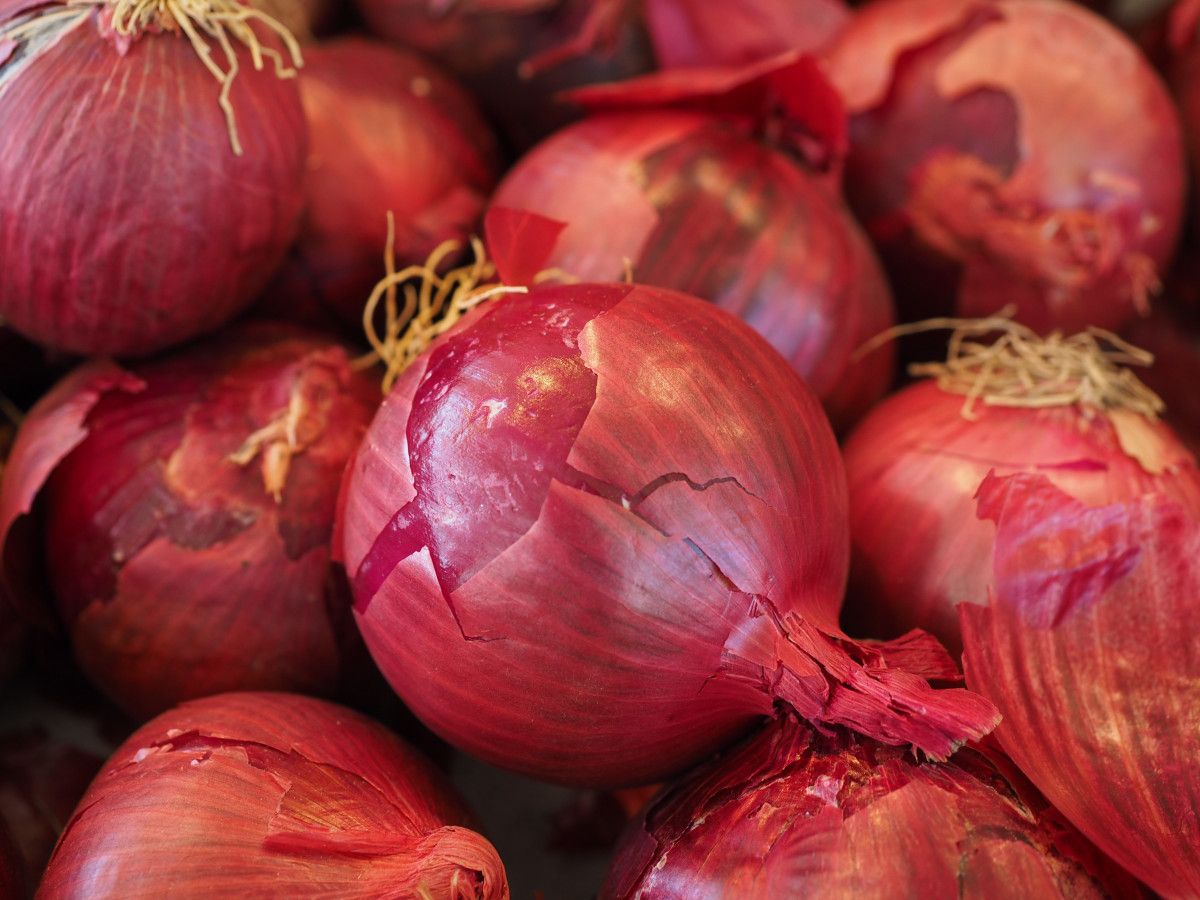 Bawang Besar India