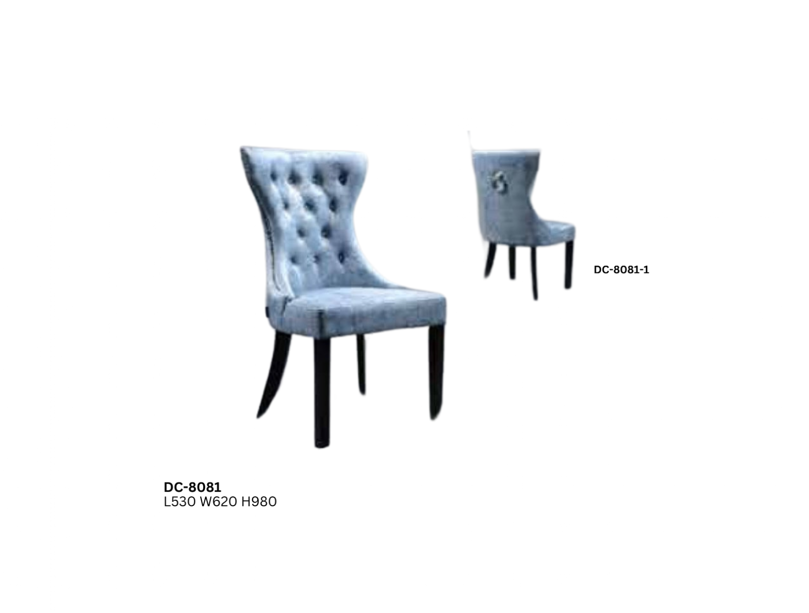 DINING CHAIR (PLZ DC-8081)