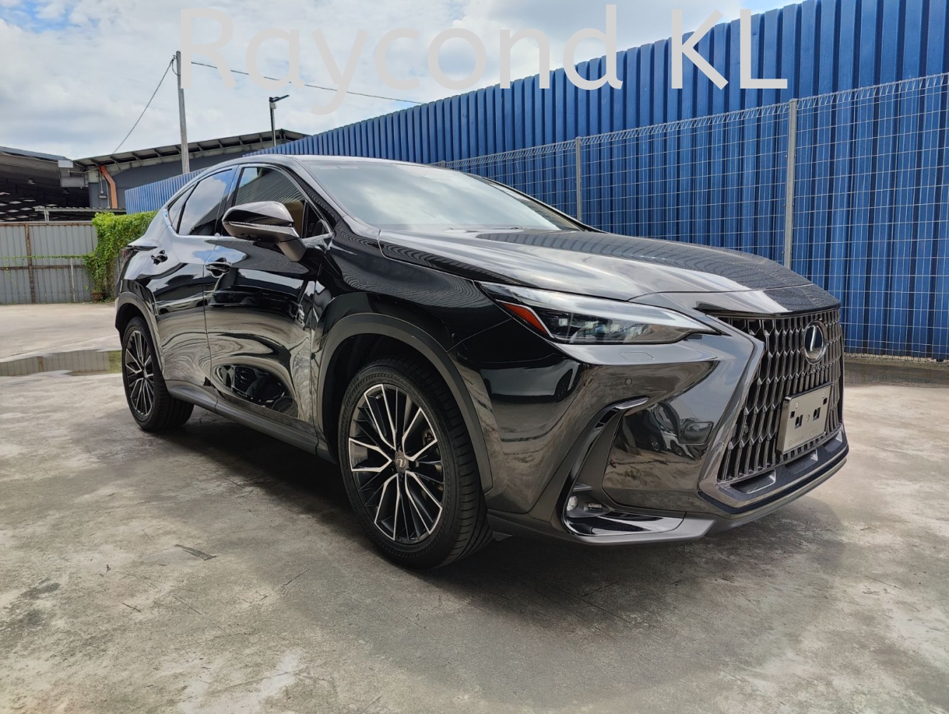 2023 LEXUS NX250 VERSION L (LUXURY) (2172)