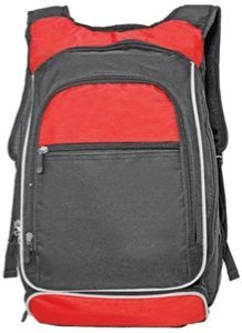Laptop Backpack/LT103
