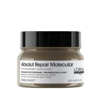 Loreal Serie Expert Absolut Repair Molecular Mask 250ML