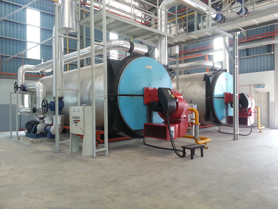 Thermal Oil Heater