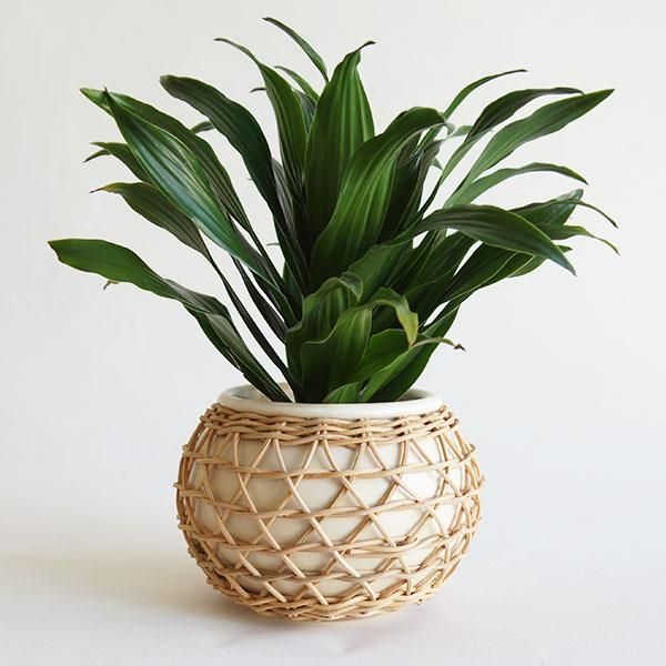RAP 005 - RATTAN PLANTER