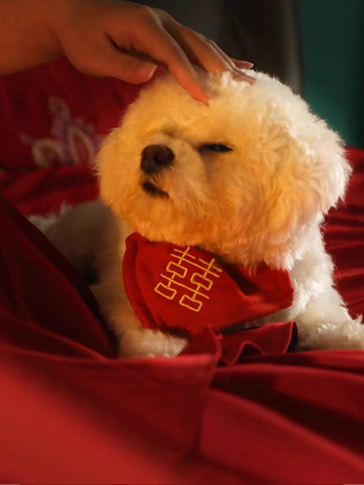 Pet Festive Chinese New Year Festival Wedding Embroidery Pet Collar Saliva Scarf 宠物新年围巾 宠物家有喜事围巾