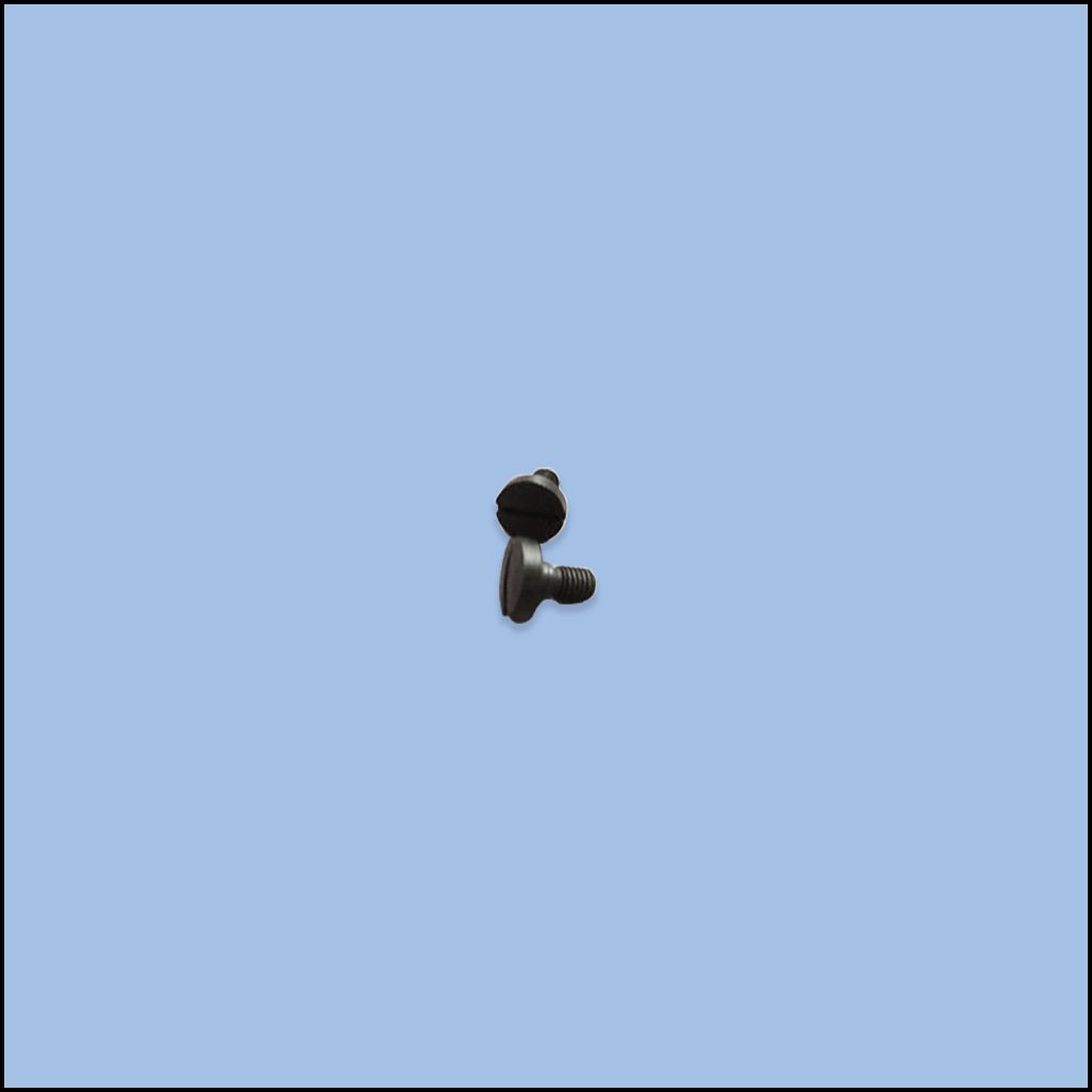 SCREW (84-5880-0)