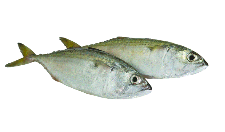 Frozen Ikan Mabong Supplier Malaysia | Cheong Vege