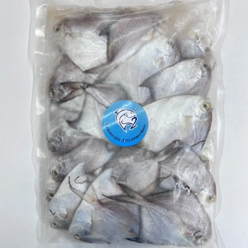 Bawal Putih 900gram +-