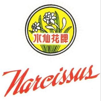 Narcissus 水仙花牌
