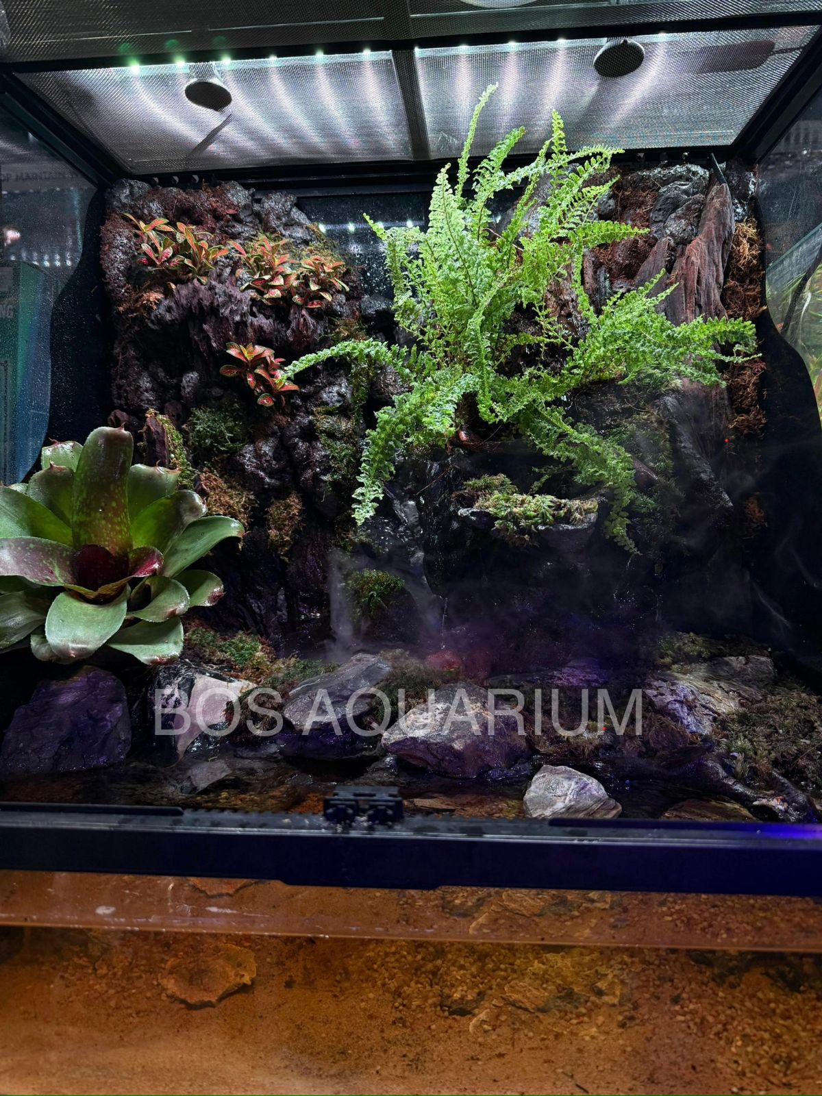 Exoterra Pro Paludarium 60x45x60cm