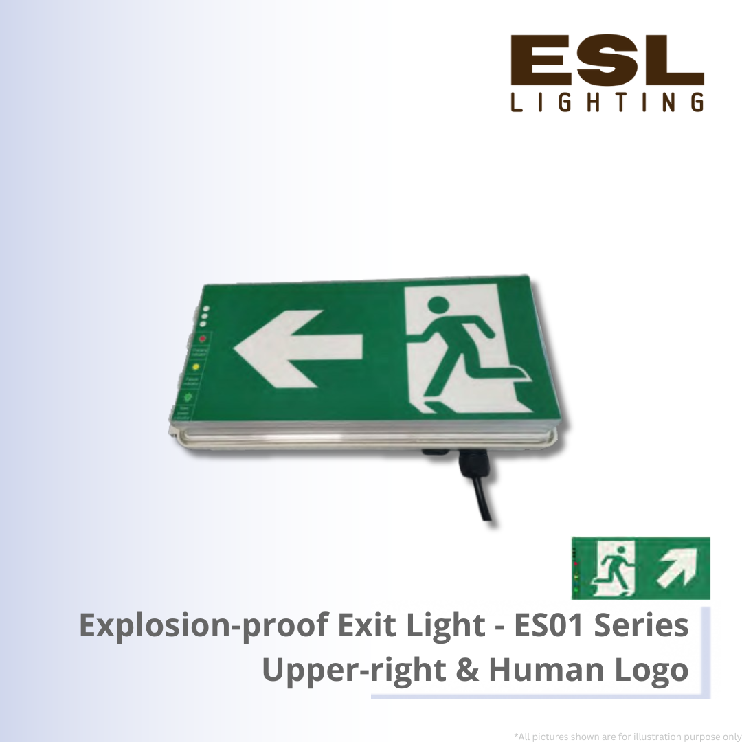 Explosion Proof Emergency Light ES01 Series Upper Right and Human Logo - EX-WES01H IP66 IK10
