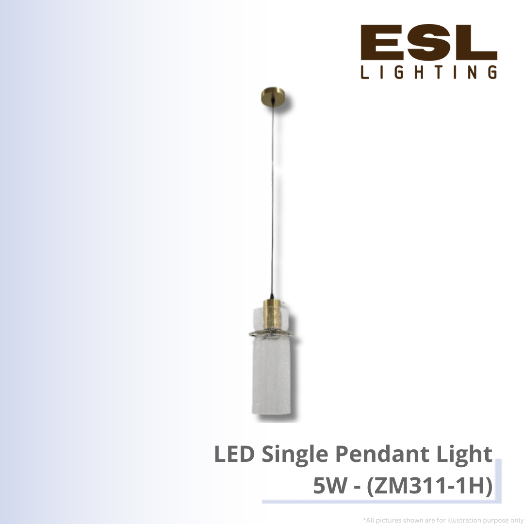 LED Single Pendant Light 5W - ZM311-1H