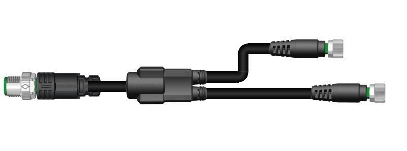 M12 Y-Cable