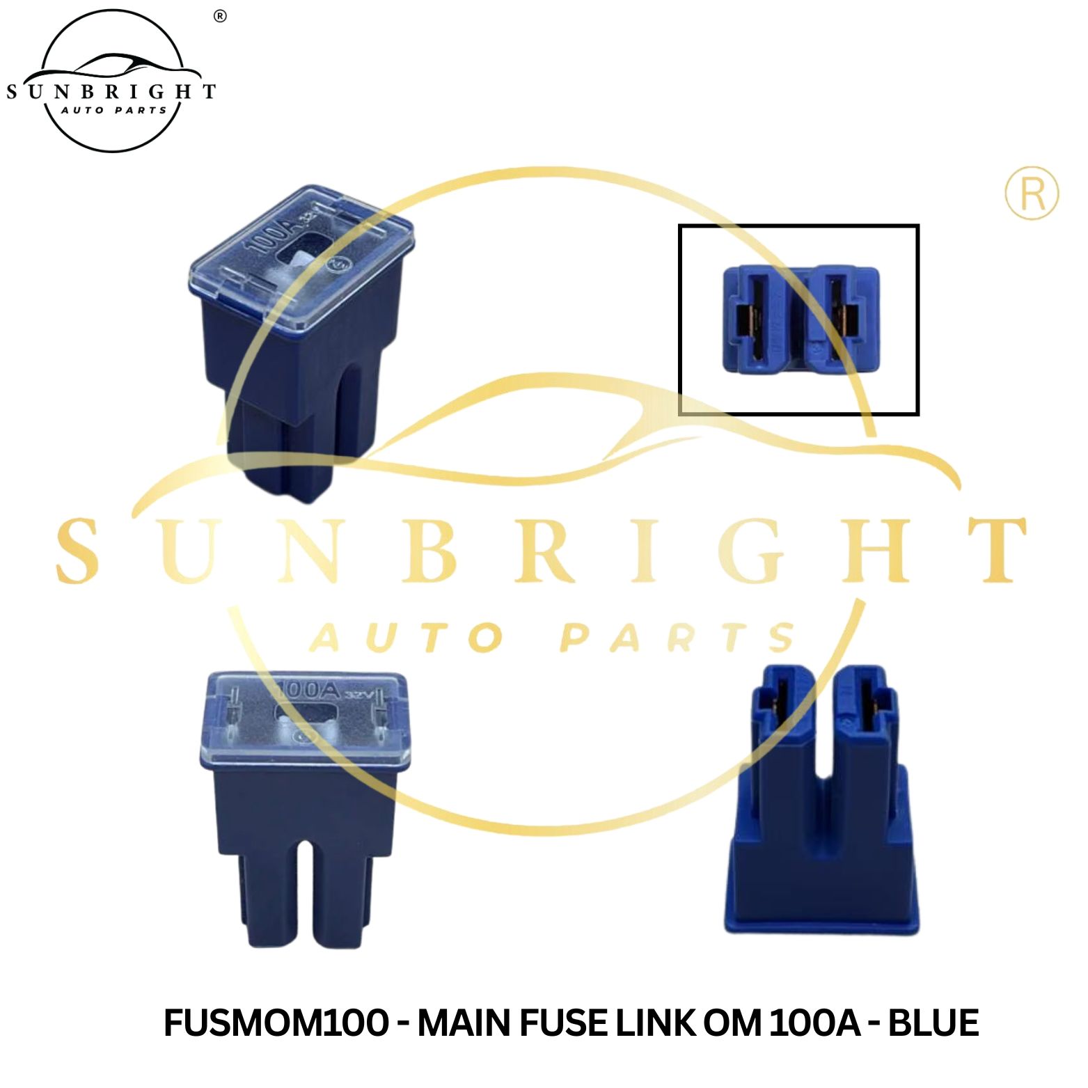 FUSMOM100 - MAIN FUSE LINK OM 100A - BLUE