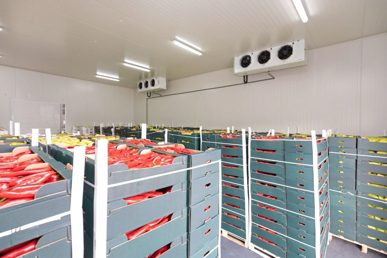 Cold Storage Facility Chiller System Inspection Air-Cooled Chiller ...