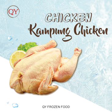 Kampung Chicken【Wholesale】