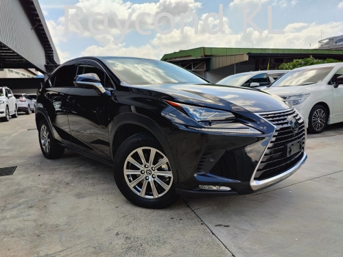 2019 LEXUS NX300 I PACKAGE (0835)