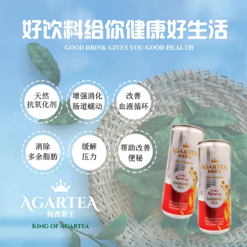 Agartea Canned Drink (1 box [20 cans] ) HKD240