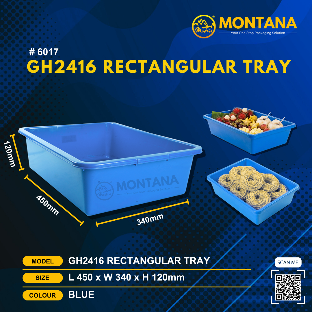 (6017) GH2416 RECTANGULAR TRAY