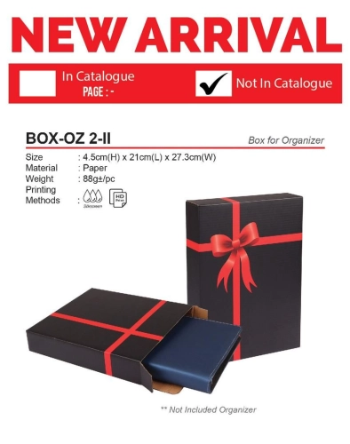 BOX-OZ 2-II Box for Organizer(A)