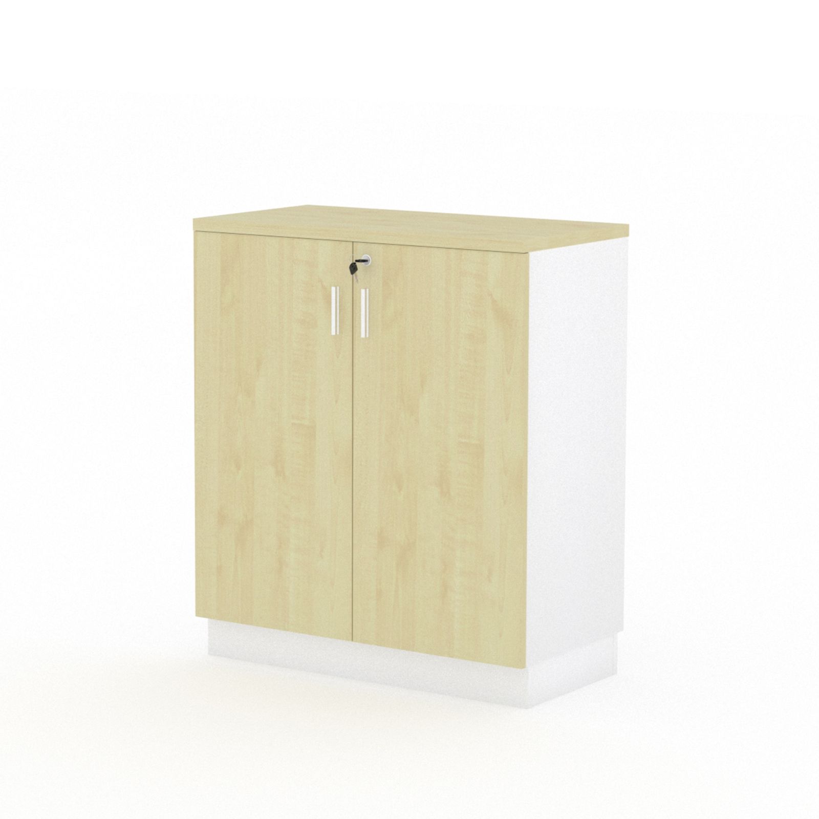 D9 Swinging Door Cabinet