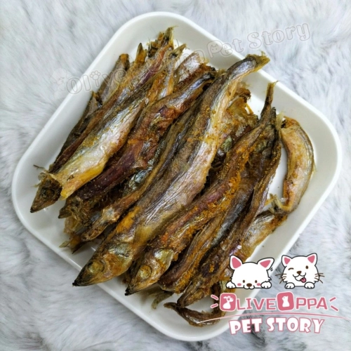 Capelin 多春鱼有籽