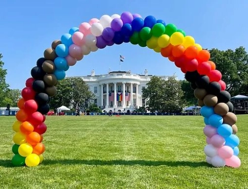 Balloon Arch Setup Set (B-AC-01)