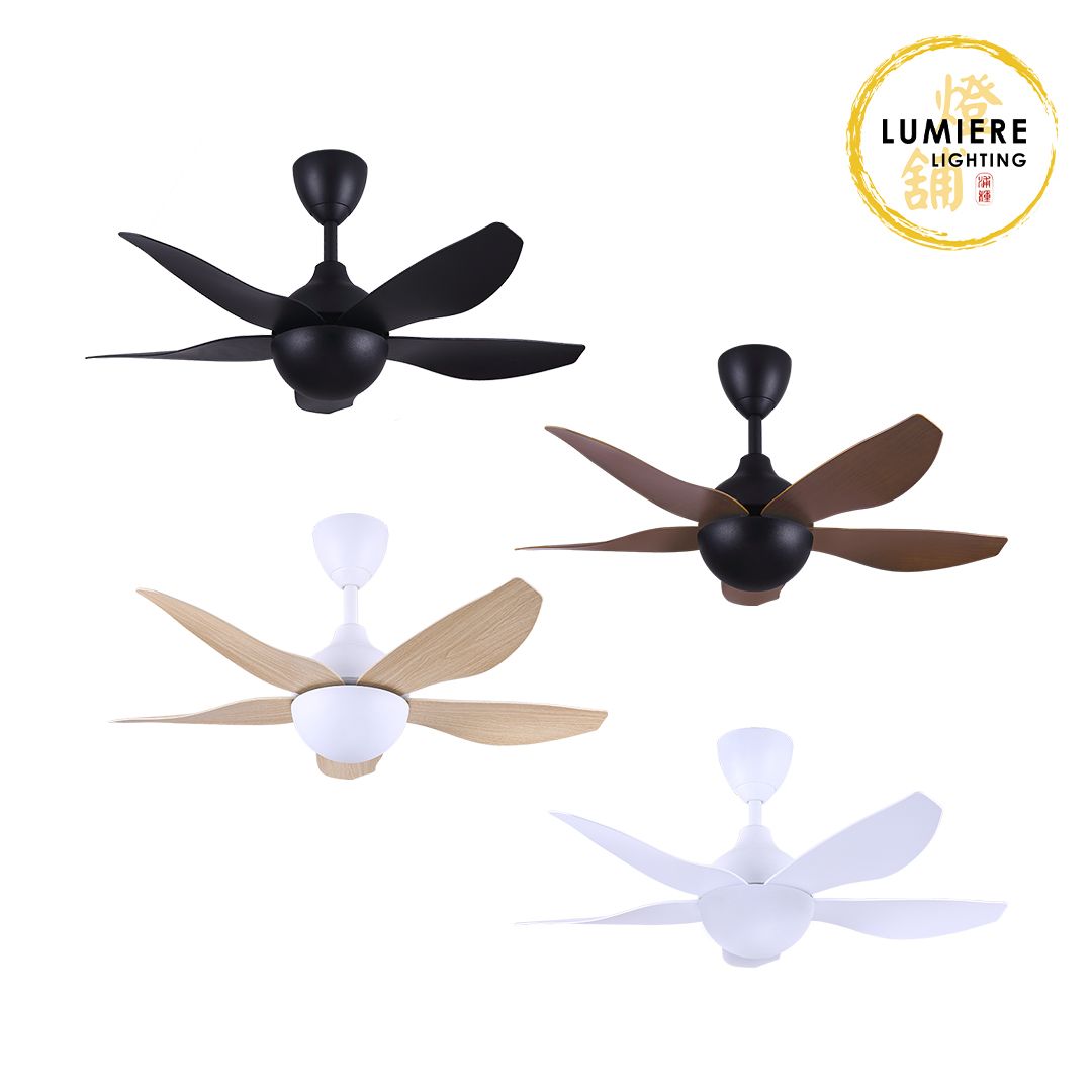 Alpha Fan AX80-5B/40