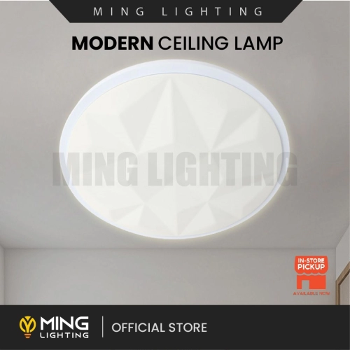 Modern Surface Ceiling Light 10162