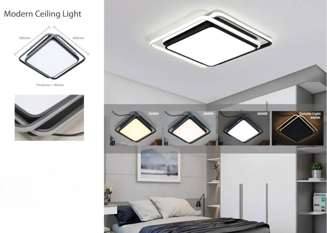 Modern Ceiling Light