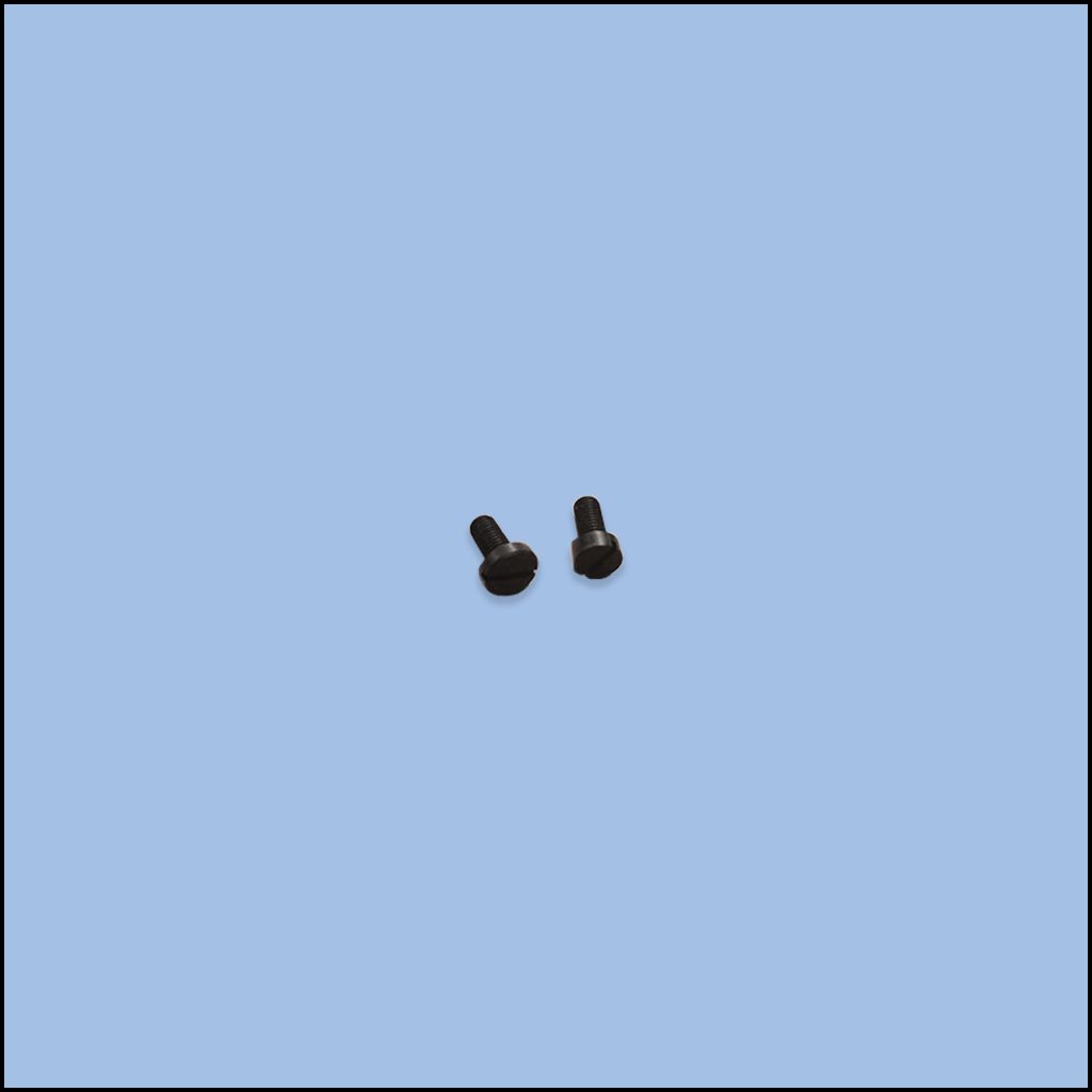 SCREW (84-3820-0)