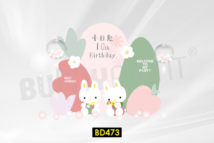 Birthday 473-01