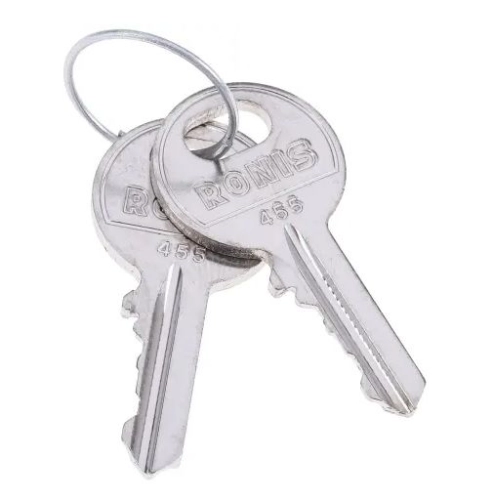877-3365 - Rittal 2-way Spannerlock Key