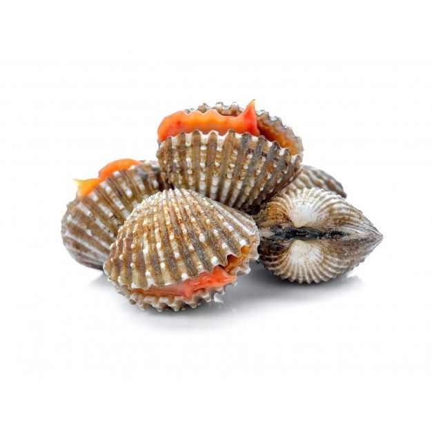 Kerang