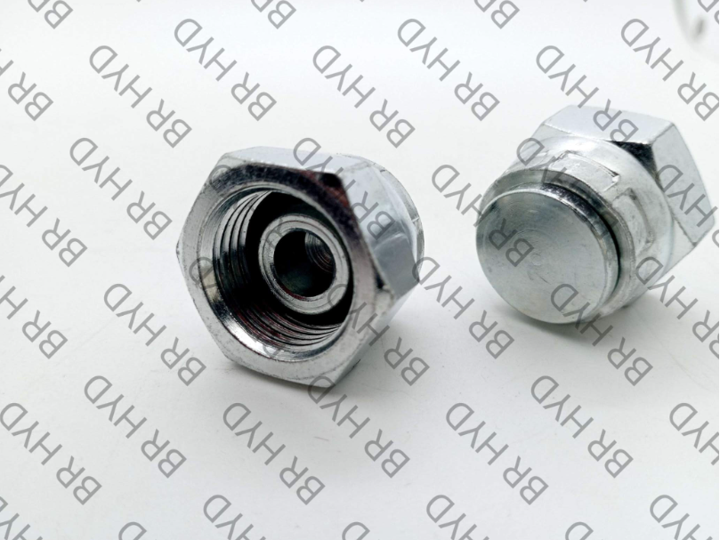 PLUG PL-CAP-BSPT-BSP