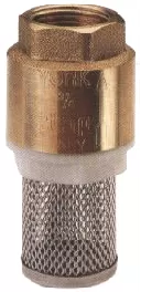 Brass Spring Foot Valve