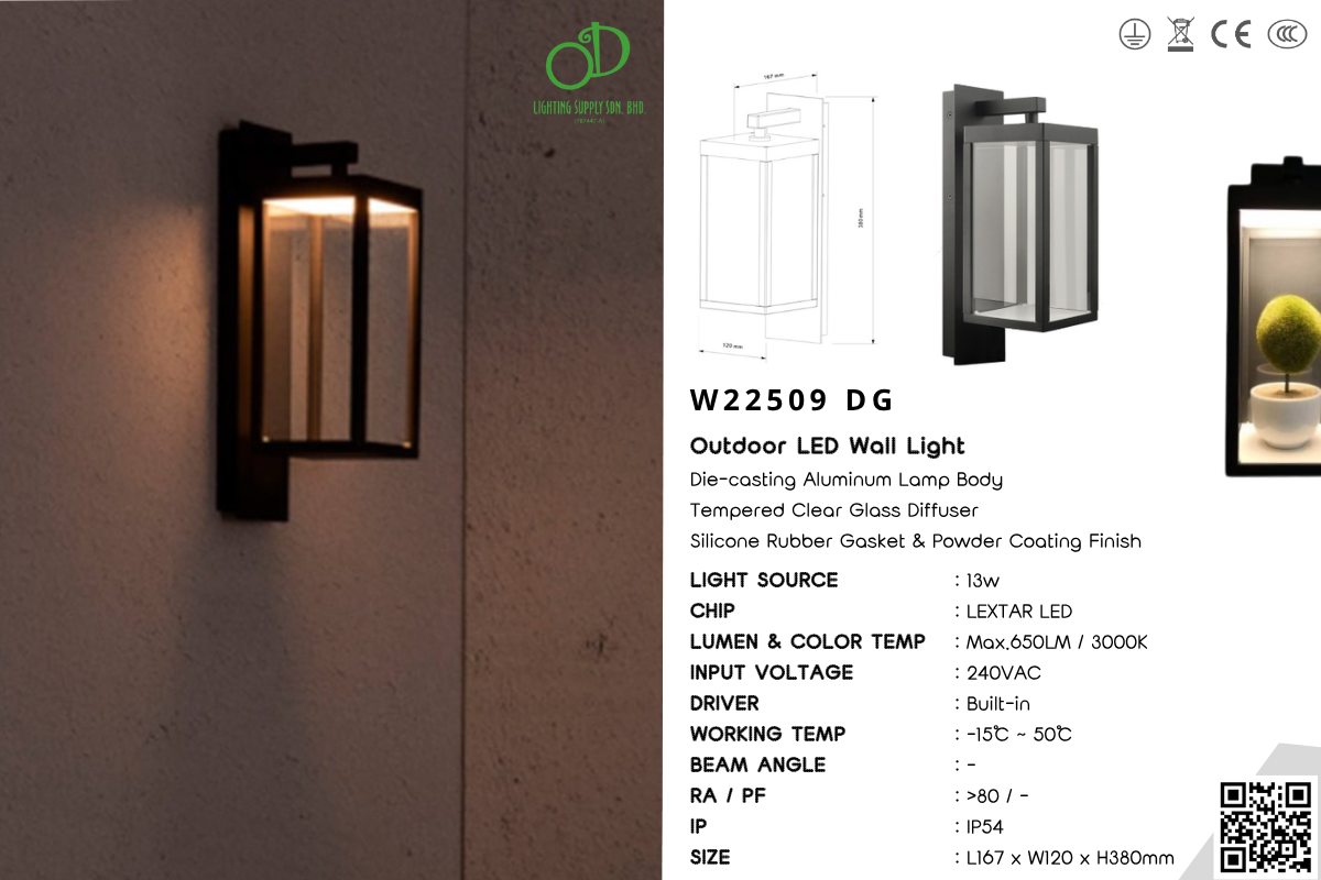 Outdoor Wall Light (W22509 DG)