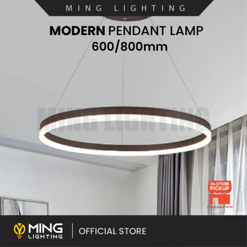 Modern Pendant Lamp 14232