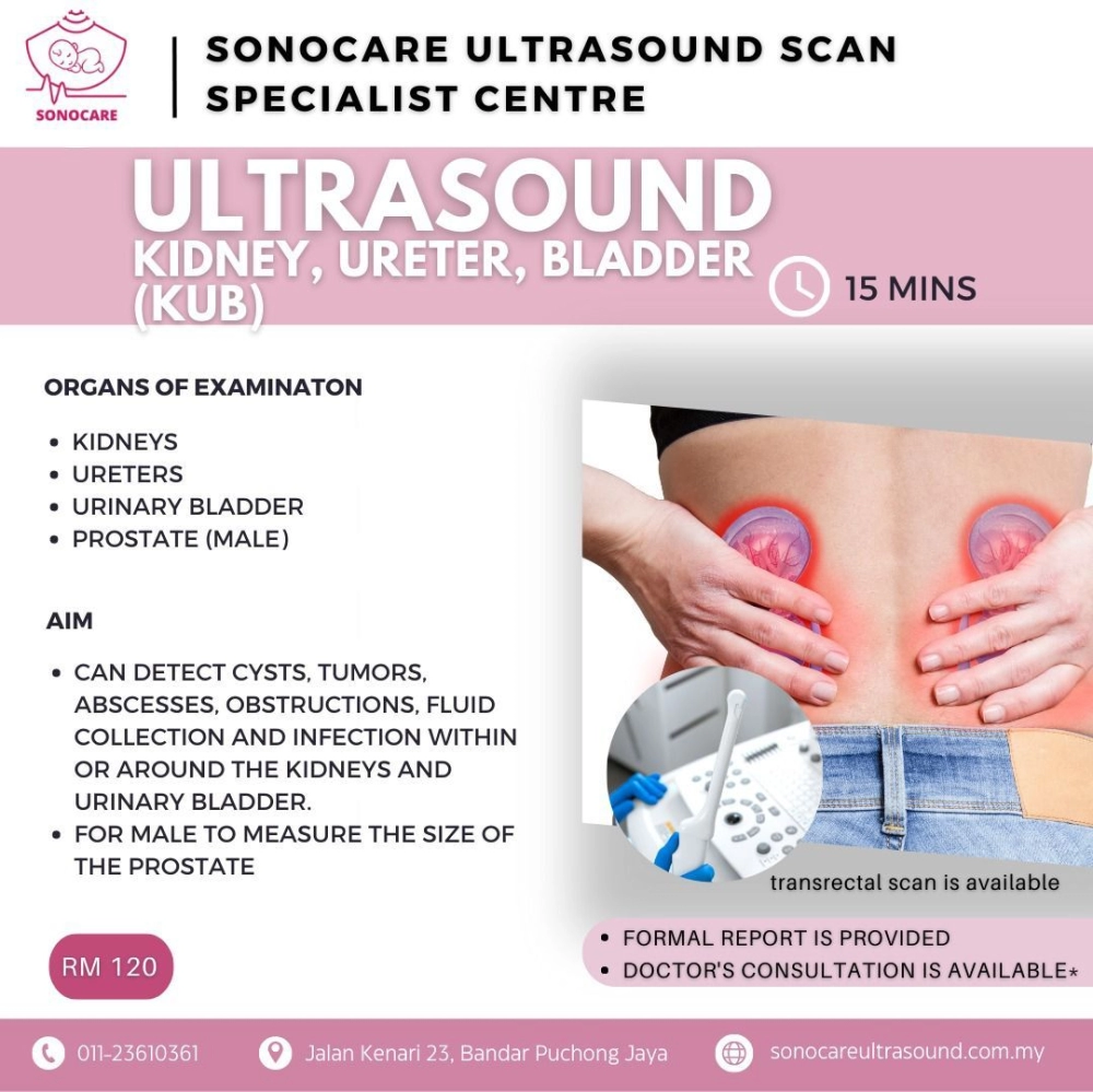 Ultrasound Buah Pinggang, Ureter dan Pundi Kencing