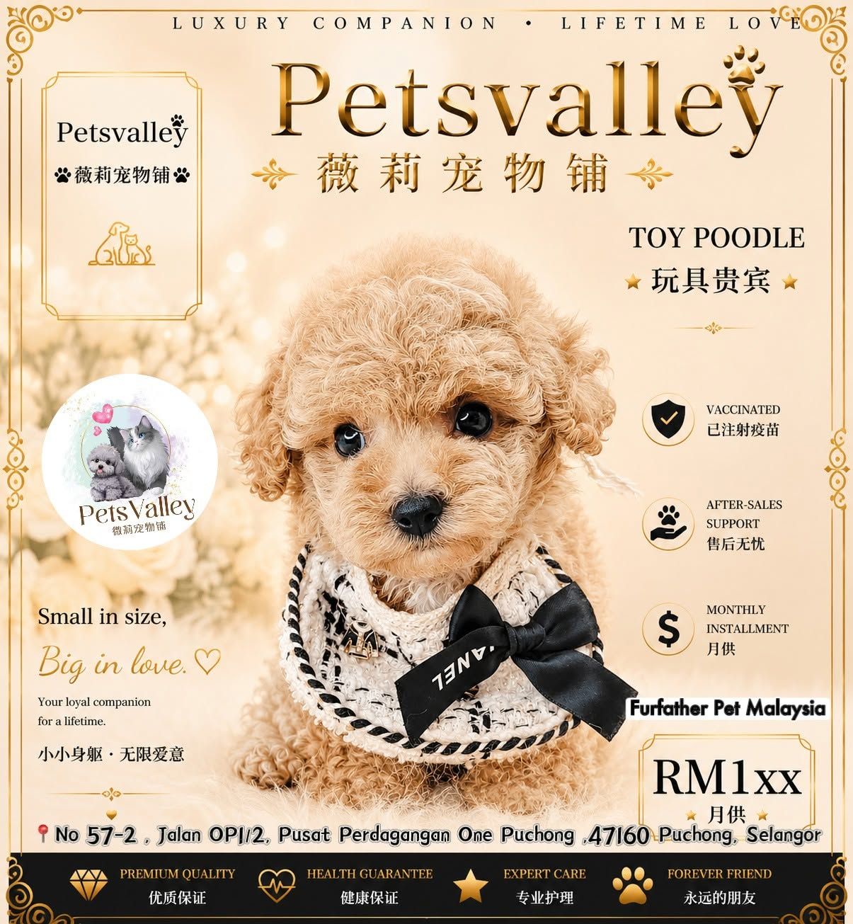 Poodle 娉拌开璐靛