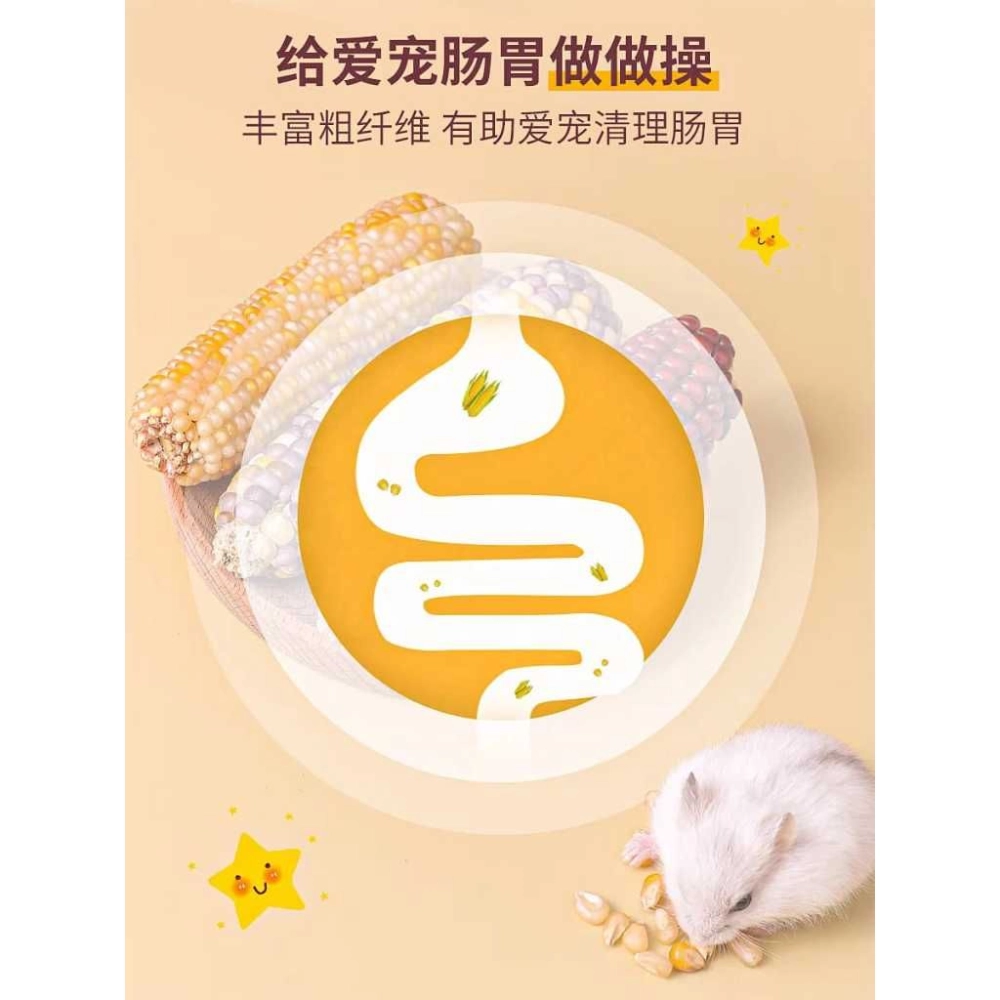 Hamster Mini molar corn small corn 🌽 golden bear rabbit molars baby corn small corn Jagung Hamster🌽 仓鼠磨牙玉米