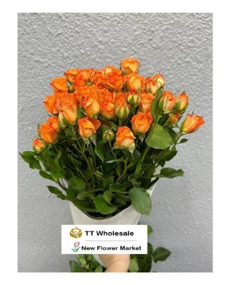 Buy Fresh Rose Spray Online | For Flower Arrangement