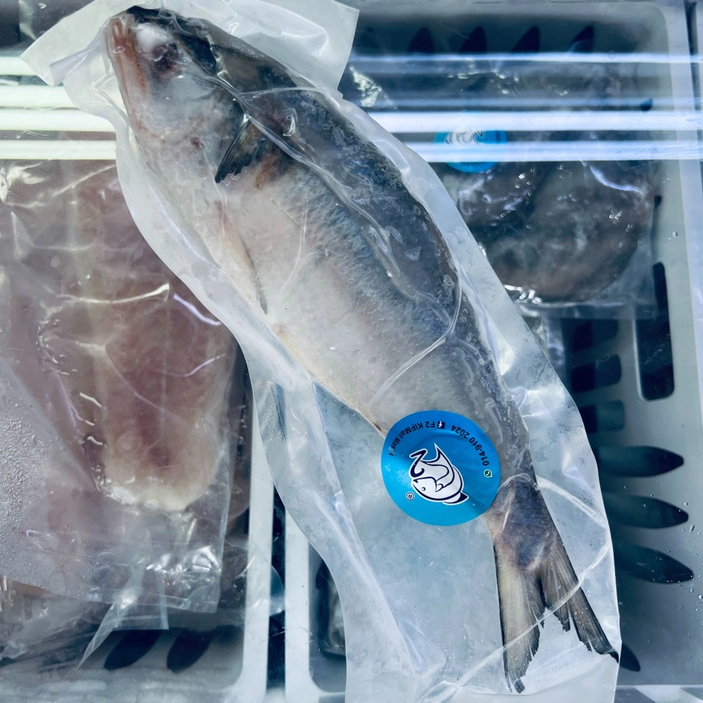 Frozen Fish