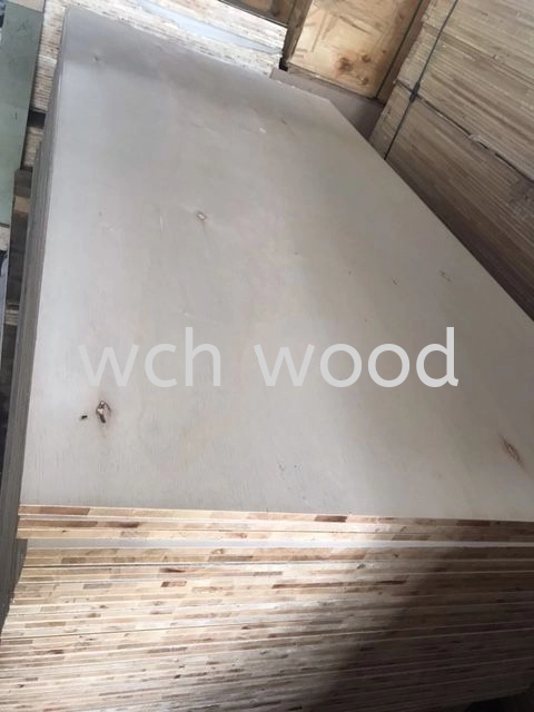 Nyatoh Plywood