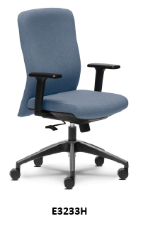 Low Back Chair (E3233H)